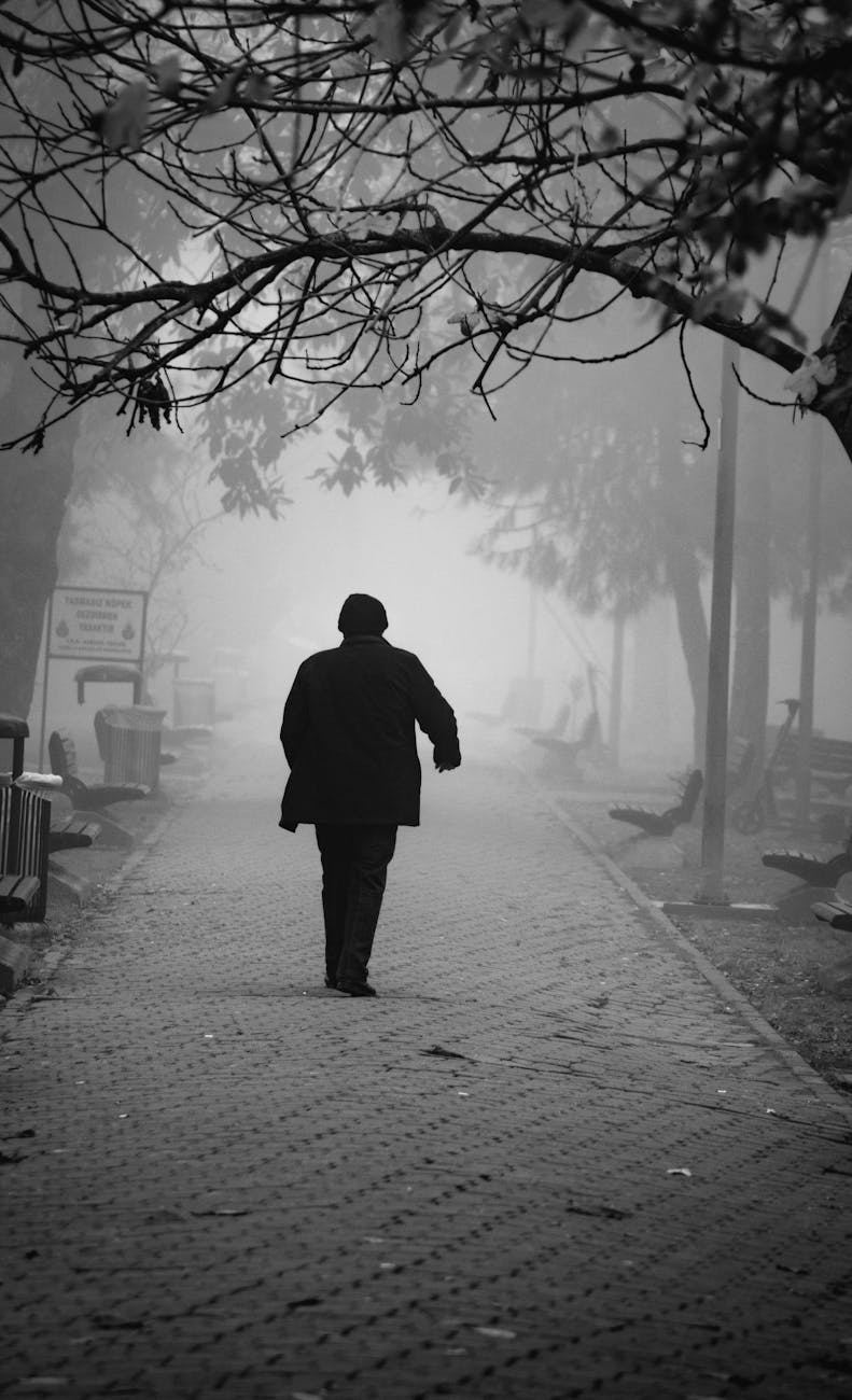 A man as seen from behind walks through a brick road in a park. Trees and benches are on both sides of the road. The weather is a foggy. 