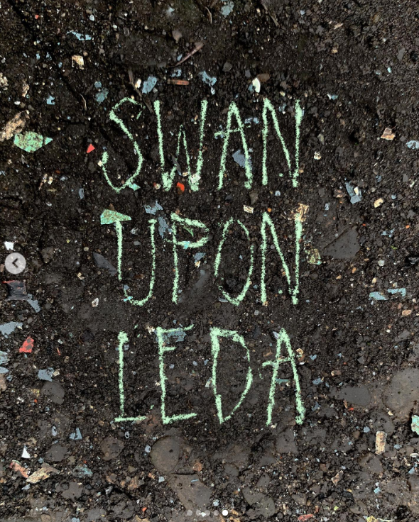 ‘Swan Upon Leda: A Hymn for Women’s Rights’ by Hrishita Gulumkar