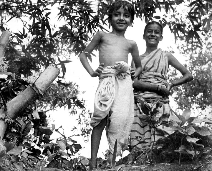 A scene of Pather Panchali. 