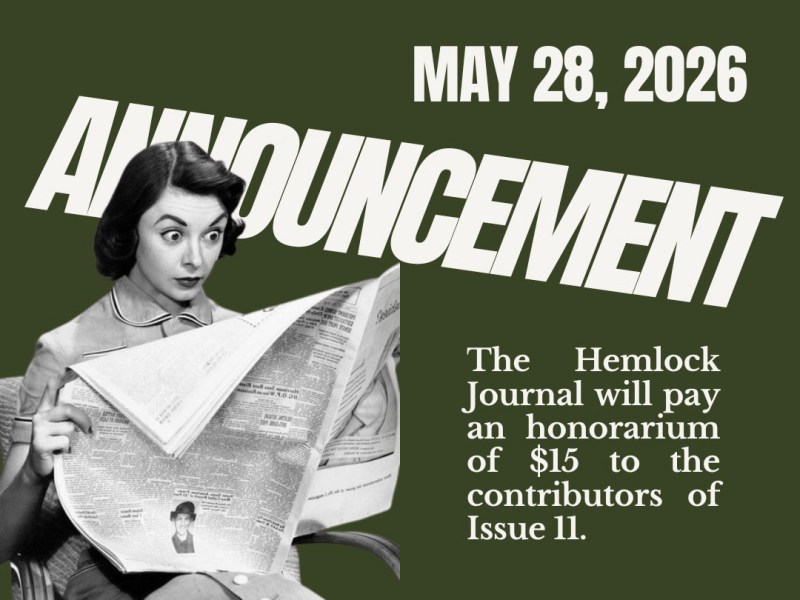 Issue 11 Announcement: From Now On, We will Pay our Contributors&nbsp;