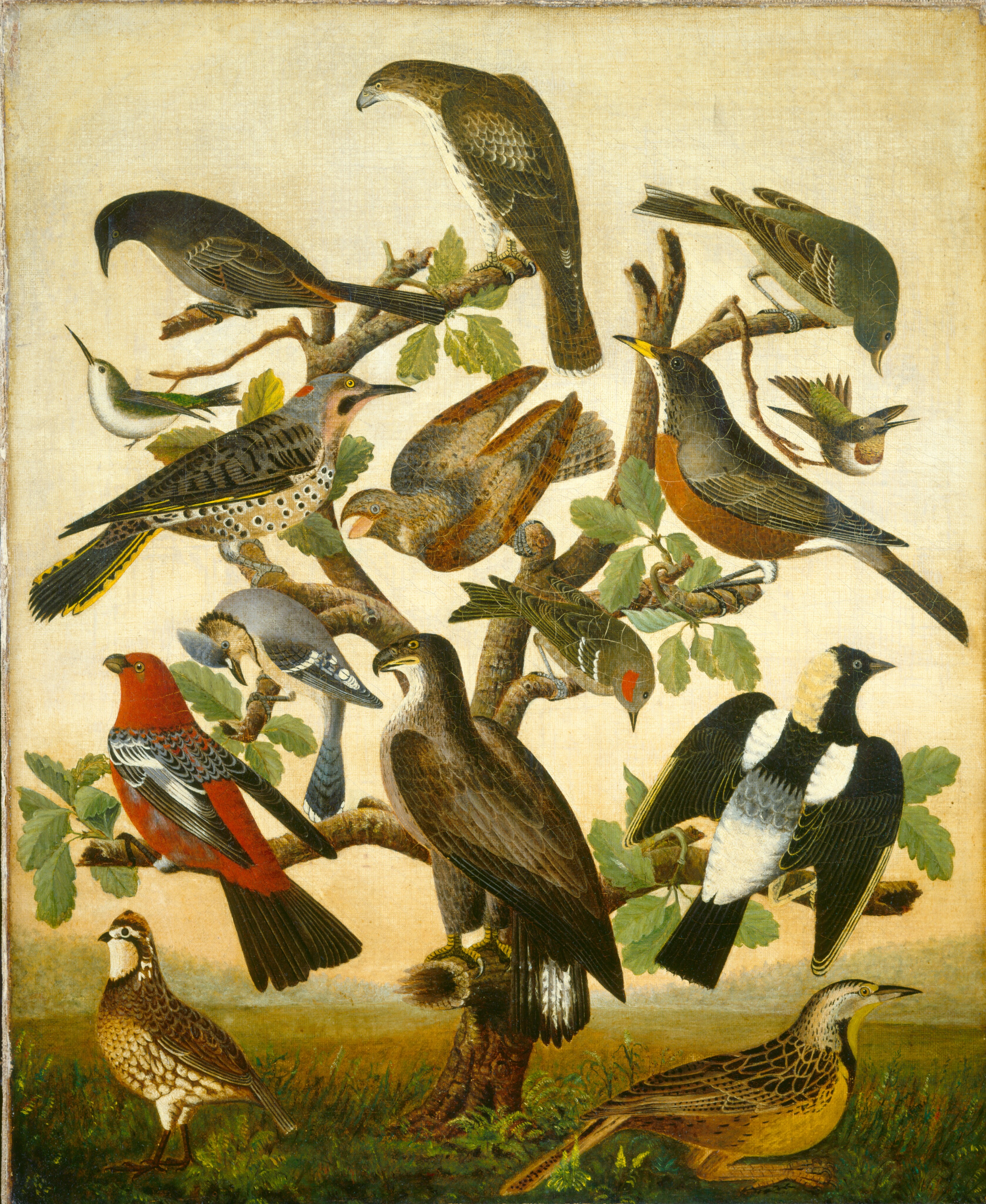 ‘Birds’ by Dana McSwain